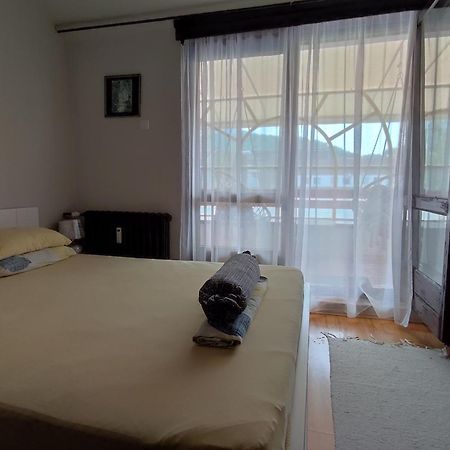 Vila Zora Apartman Banja Koviljača Buitenkant foto