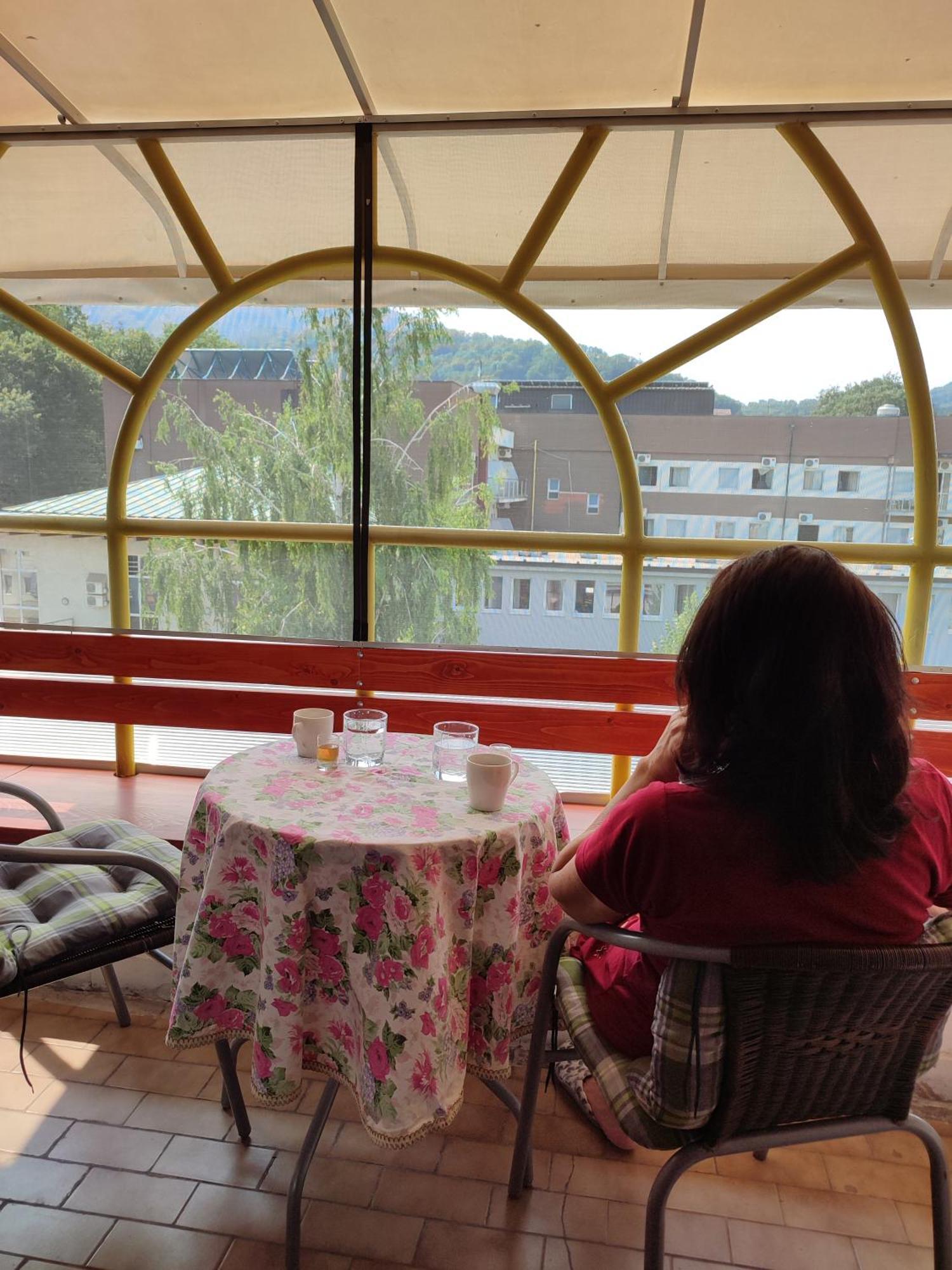 Vila Zora Apartman Banja Koviljača Buitenkant foto